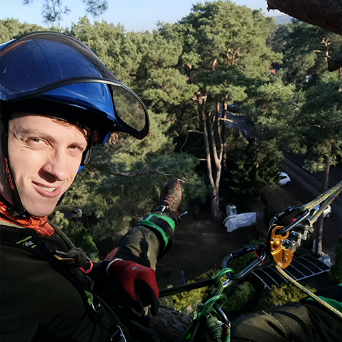 Klettergötz – Ihr Baumspezialist mit Seiltechnik und Expertise in Berlin & Brandenburg